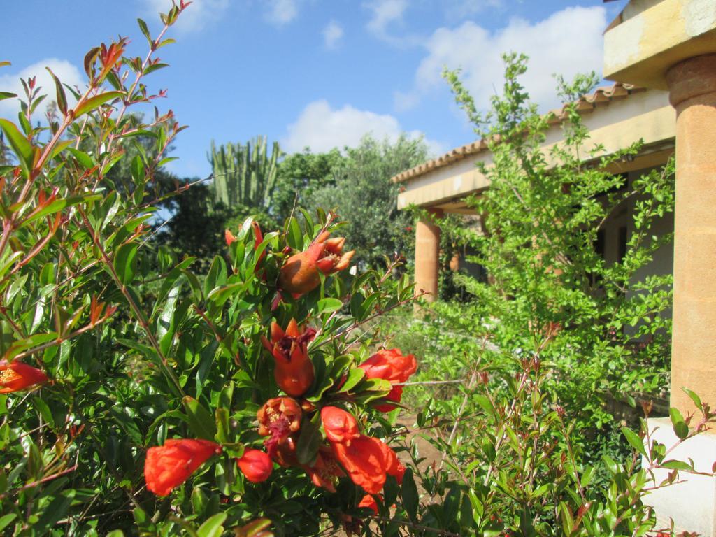 A Giummara Guest House Marsala Ngoại thất bức ảnh